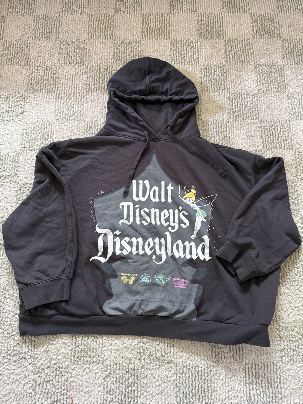 Disney 100 Black Label Hoodie Tag Detail